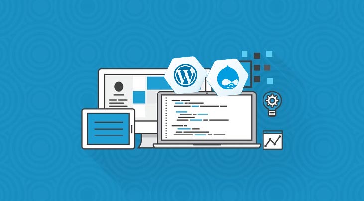 Can I Learn Drupal Myself or Should I Opt for WordPress