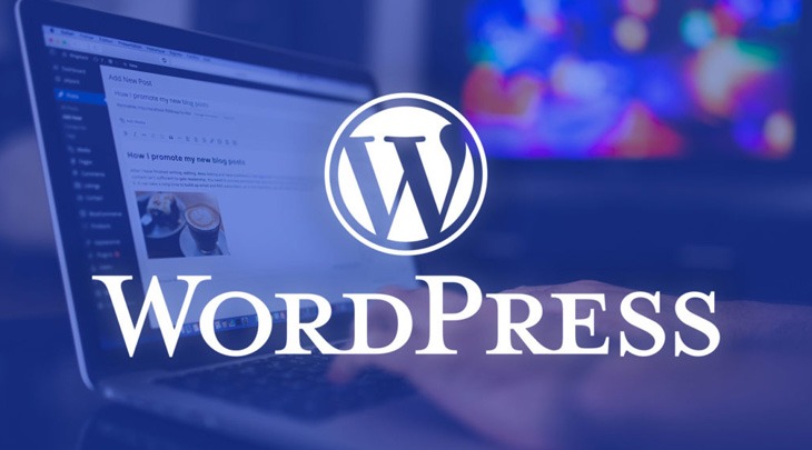 Top 10 Amazing Features of WordPress You Really Need to Know